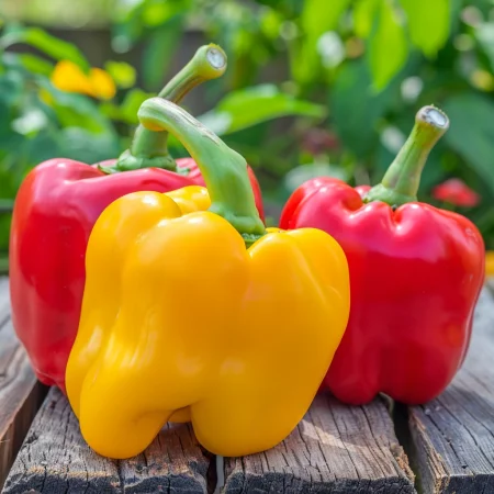 Блоковиден пипер – цветна смес (червен, жълт, виолетов, оран..