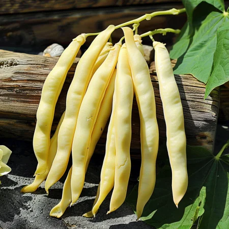 Зелен фасул Голиатка 